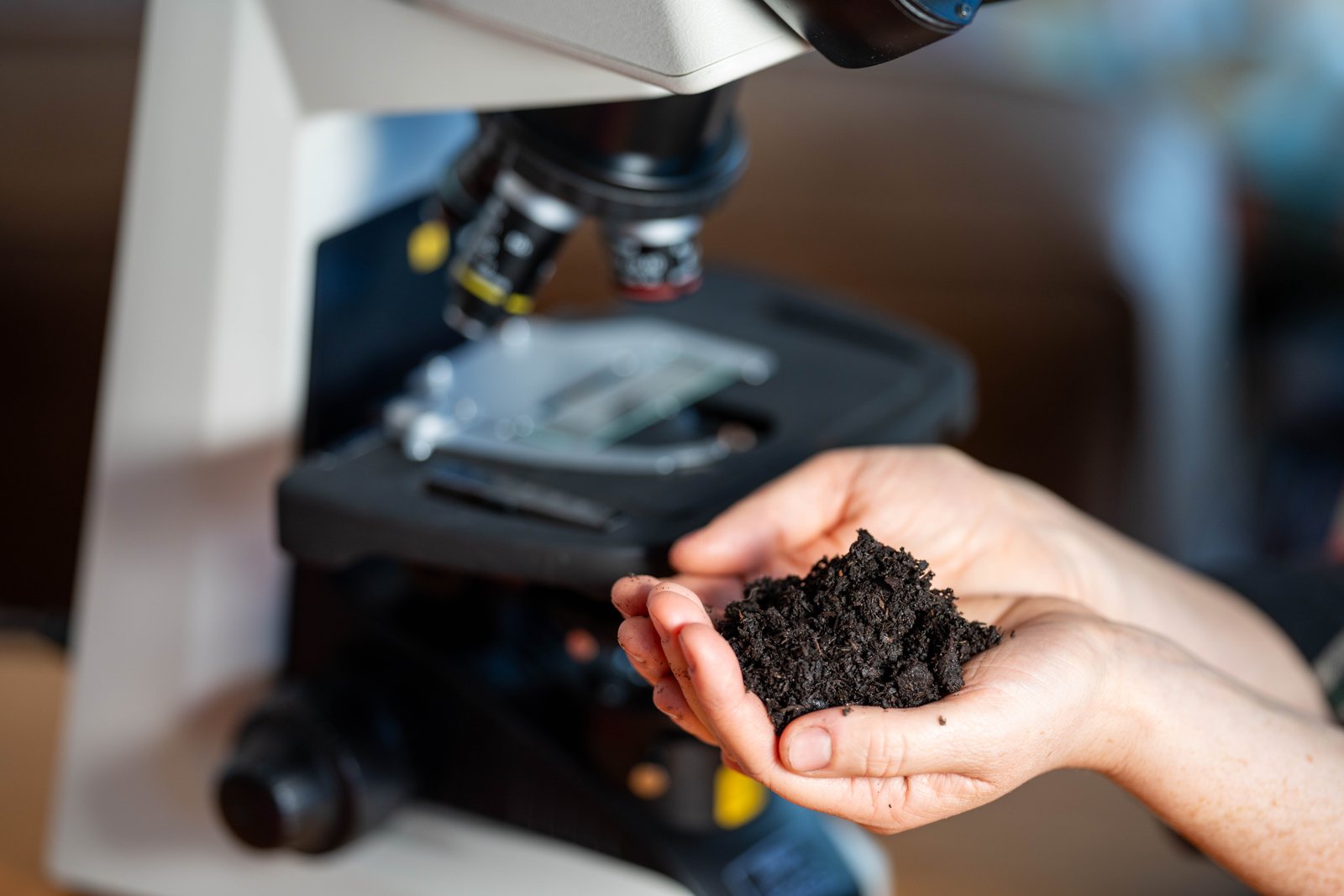 Biochar mixed into agricultural soil demonstrating soil regeneration and improved nutrient availability